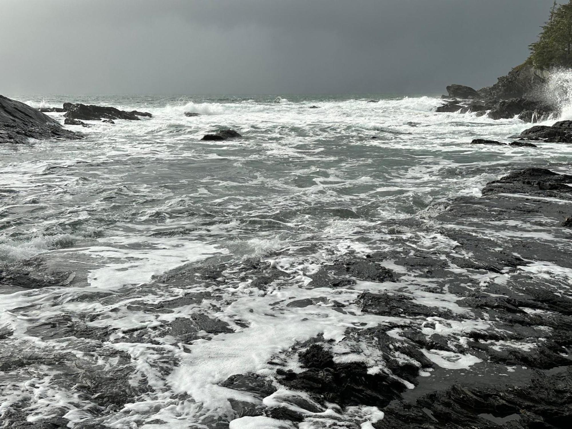 Bjorn Holm Βίλα Port Renfrew Εξωτερικό φωτογραφία